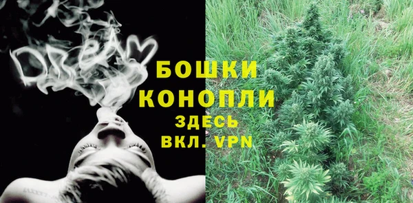 спиды Россошь