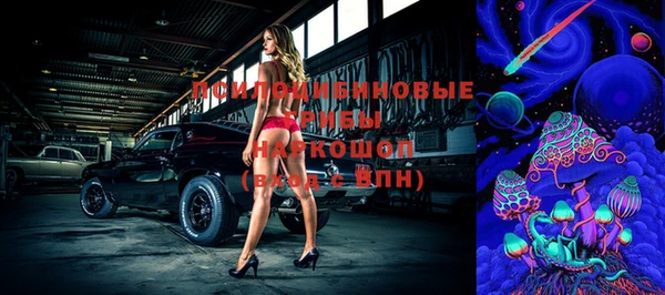 стафф Алзамай