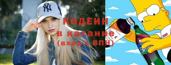 прущие грибы Рославль