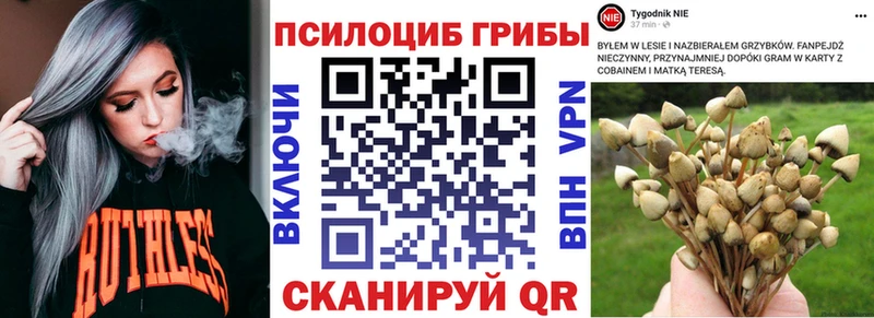 Галлюциногенные грибы мицелий omg Данков